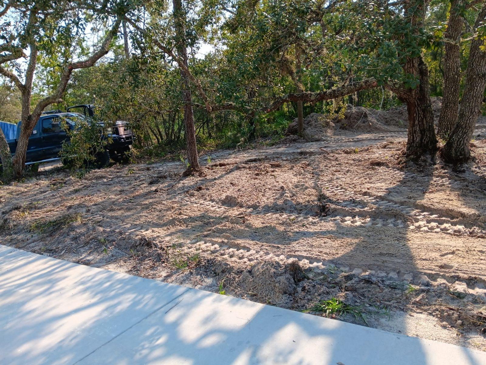 Cleared sandy area with trees around the property