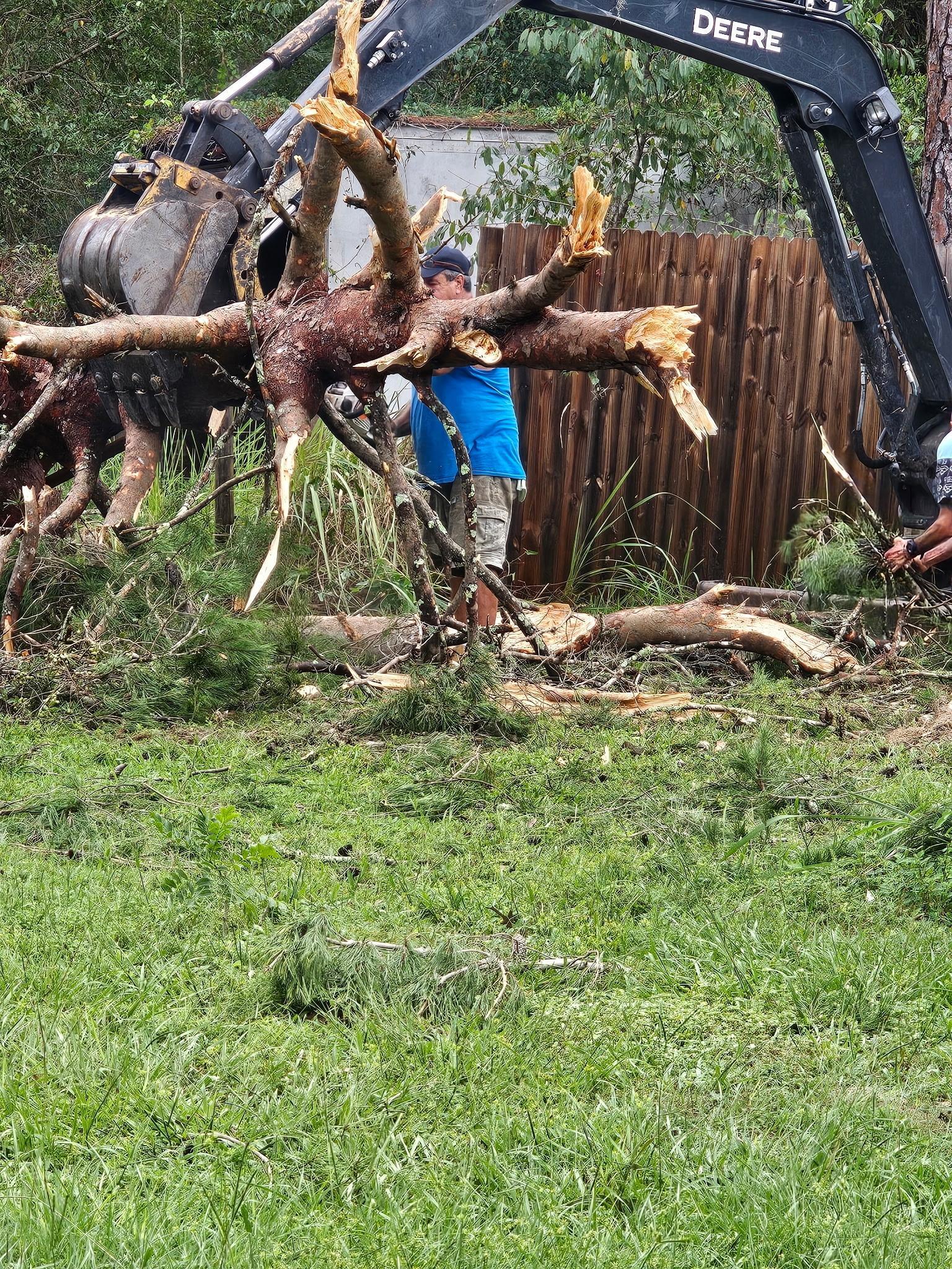 Crew removing a tree with excavator assistance