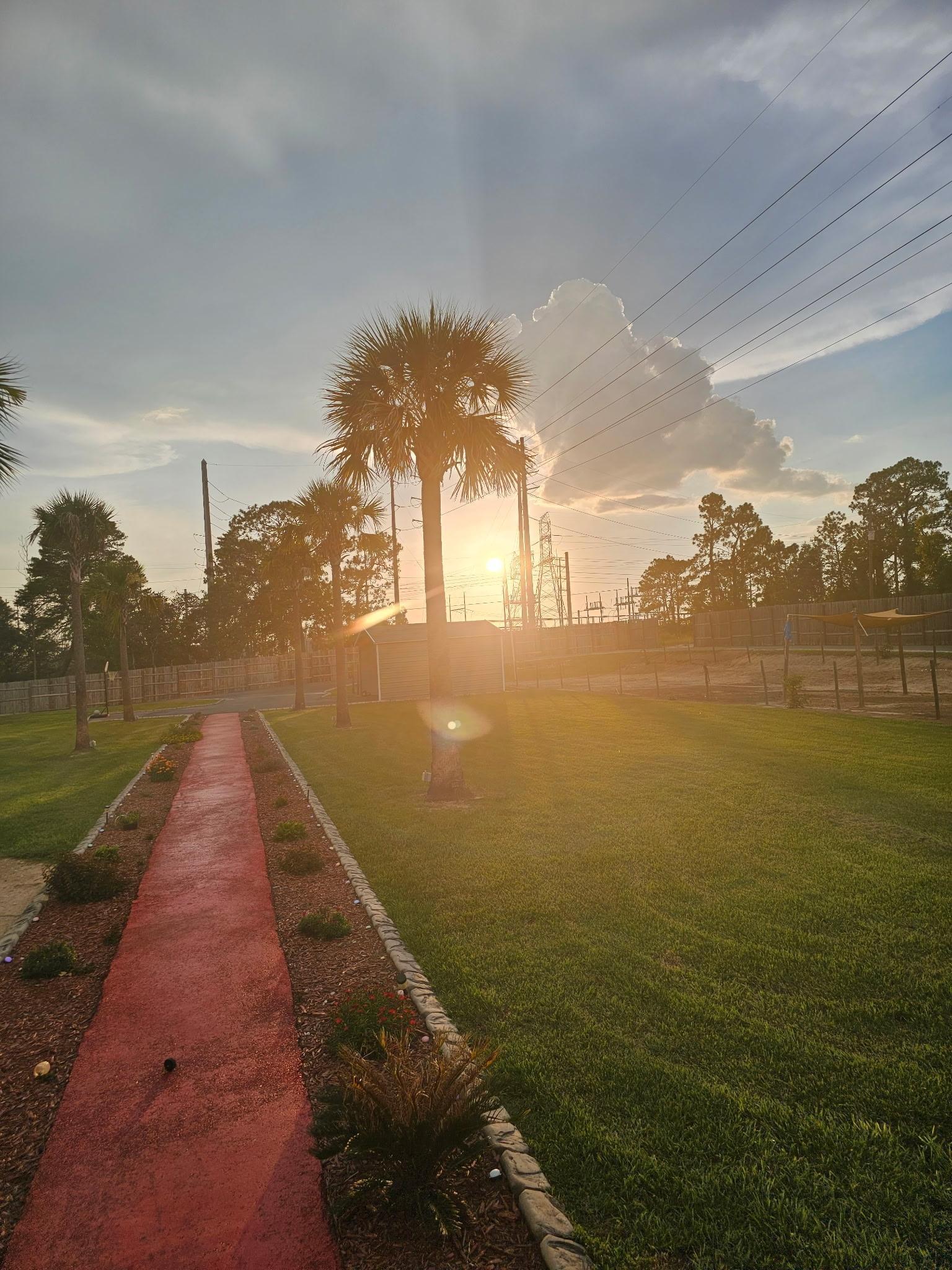 Fresh green lawn, palms, landscaping, and a red walkway at sunset